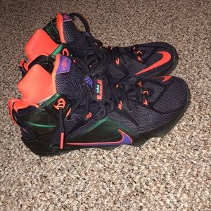 Lebron 12 instinct